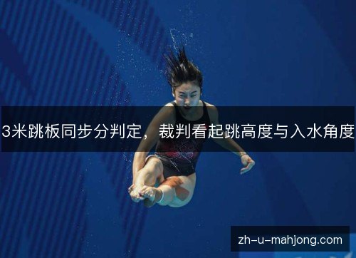 3米跳板同步分判定，裁判看起跳高度与入水角度